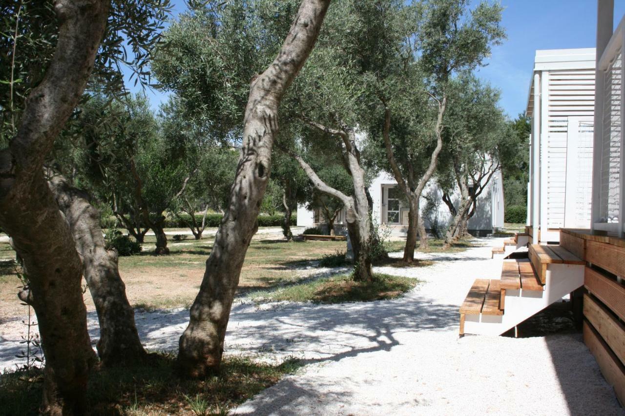 Mobile Homes Katinka, Starigrad Paklenica, Croatia Εξωτερικό φωτογραφία